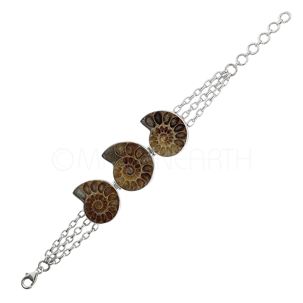 Ammonite Bracelet 